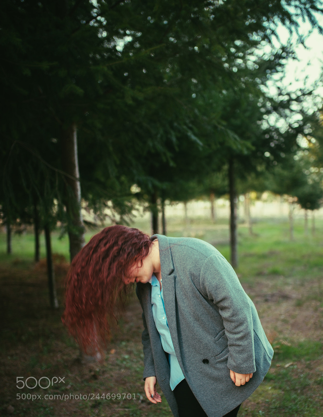 Nikon D610 sample photo. Untitled photography