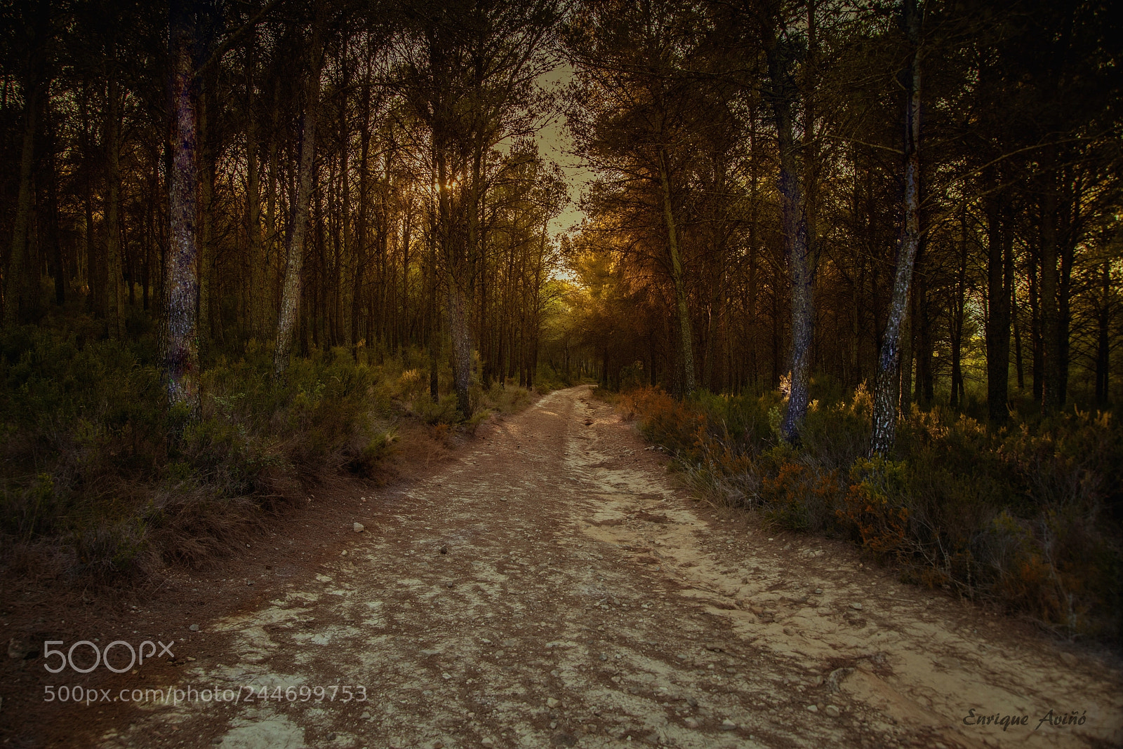 Nikon D800 sample photo. El camino photography