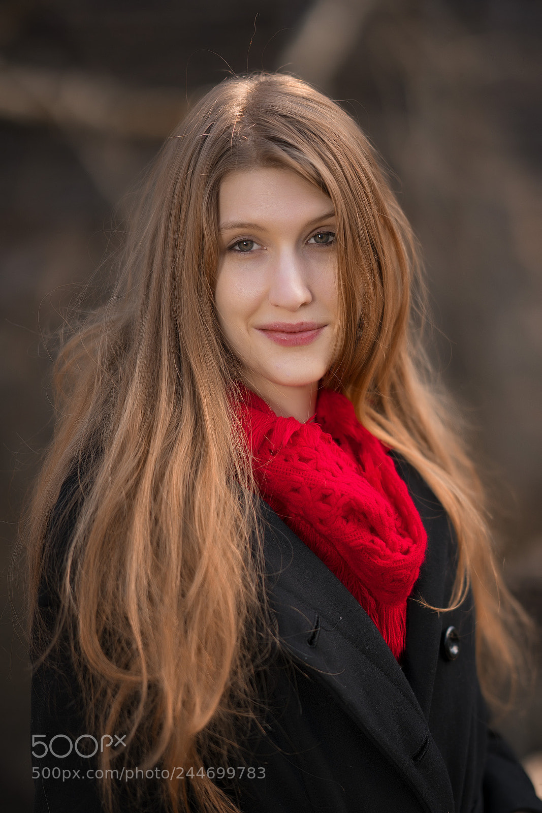 Sony a7R II sample photo. Untitled photography