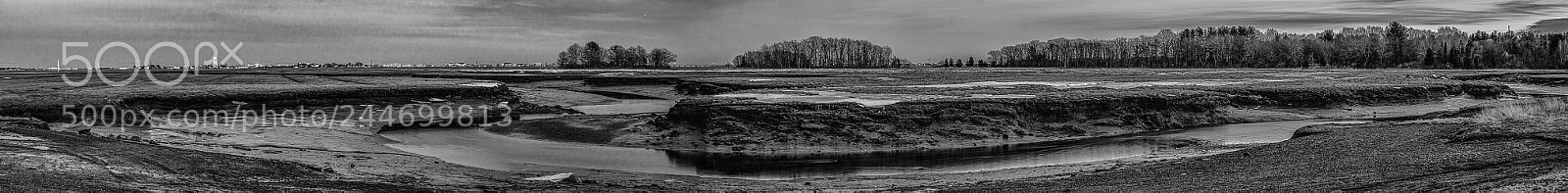 Nikon D610 sample photo. Hampton marsh photography
