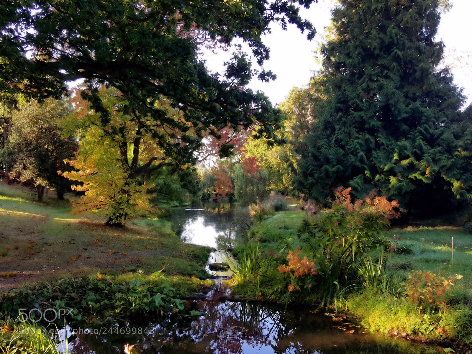 Samsung Galaxy S6 sample photo. Lifehouse garden photography