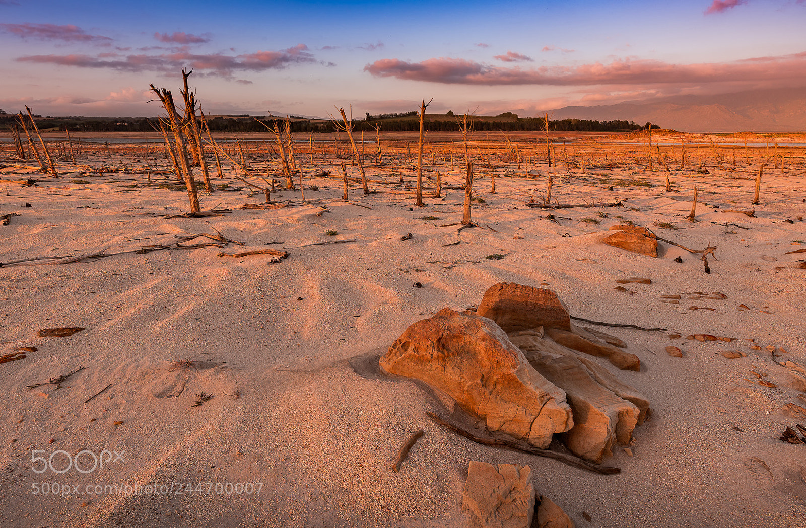 Nikon D850 sample photo. Barren and dry photography