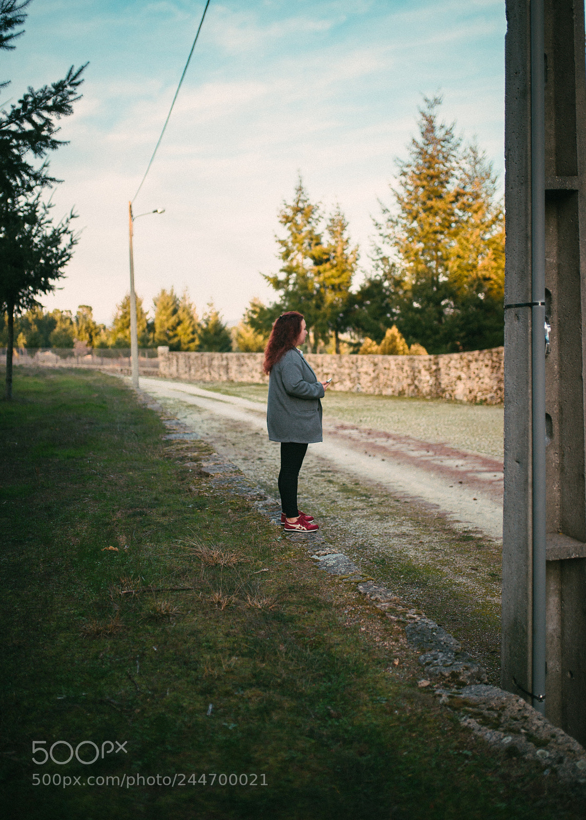 Nikon D610 sample photo. Untitled photography
