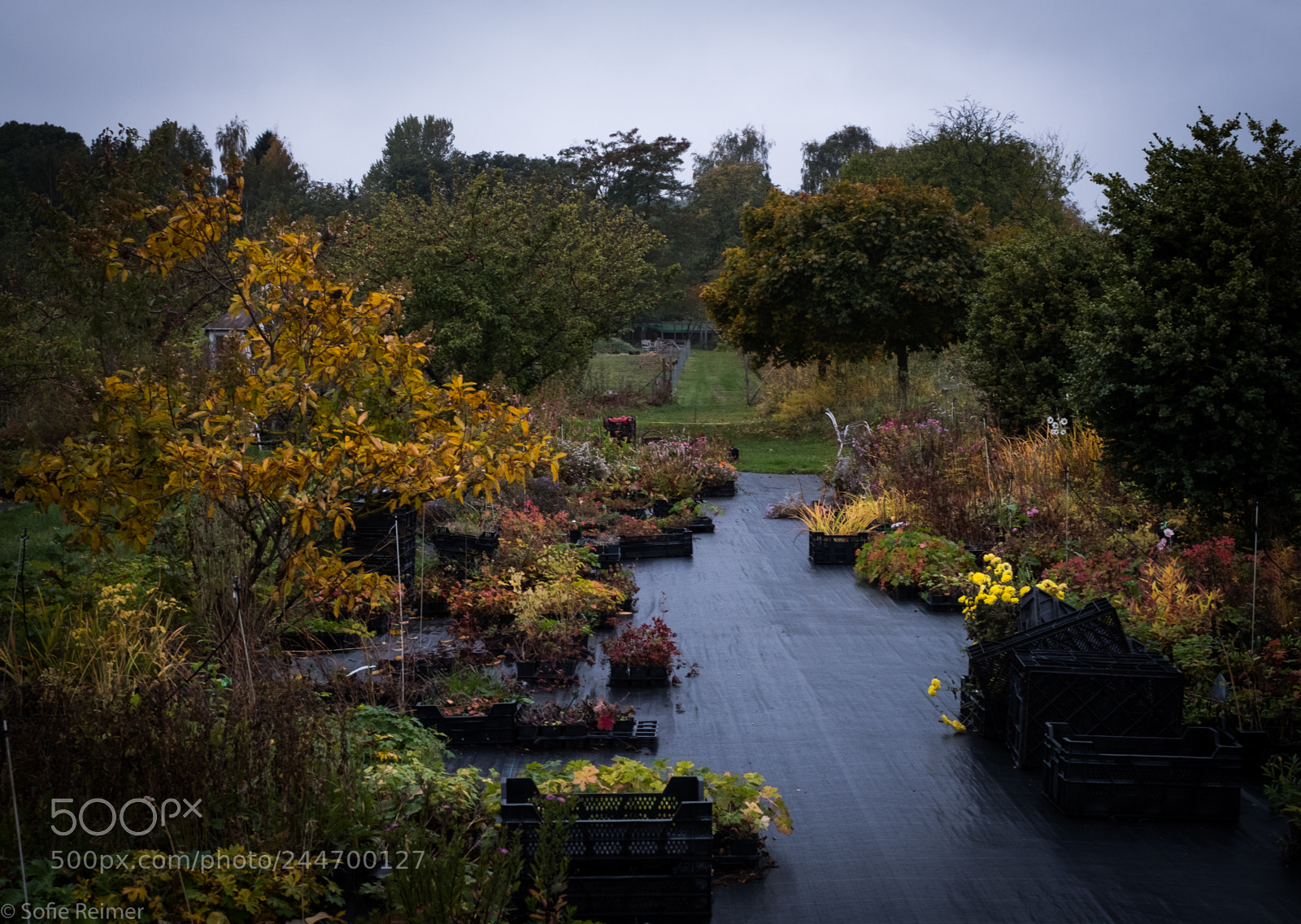 Fujifilm X-T2 sample photo. The nursery photography