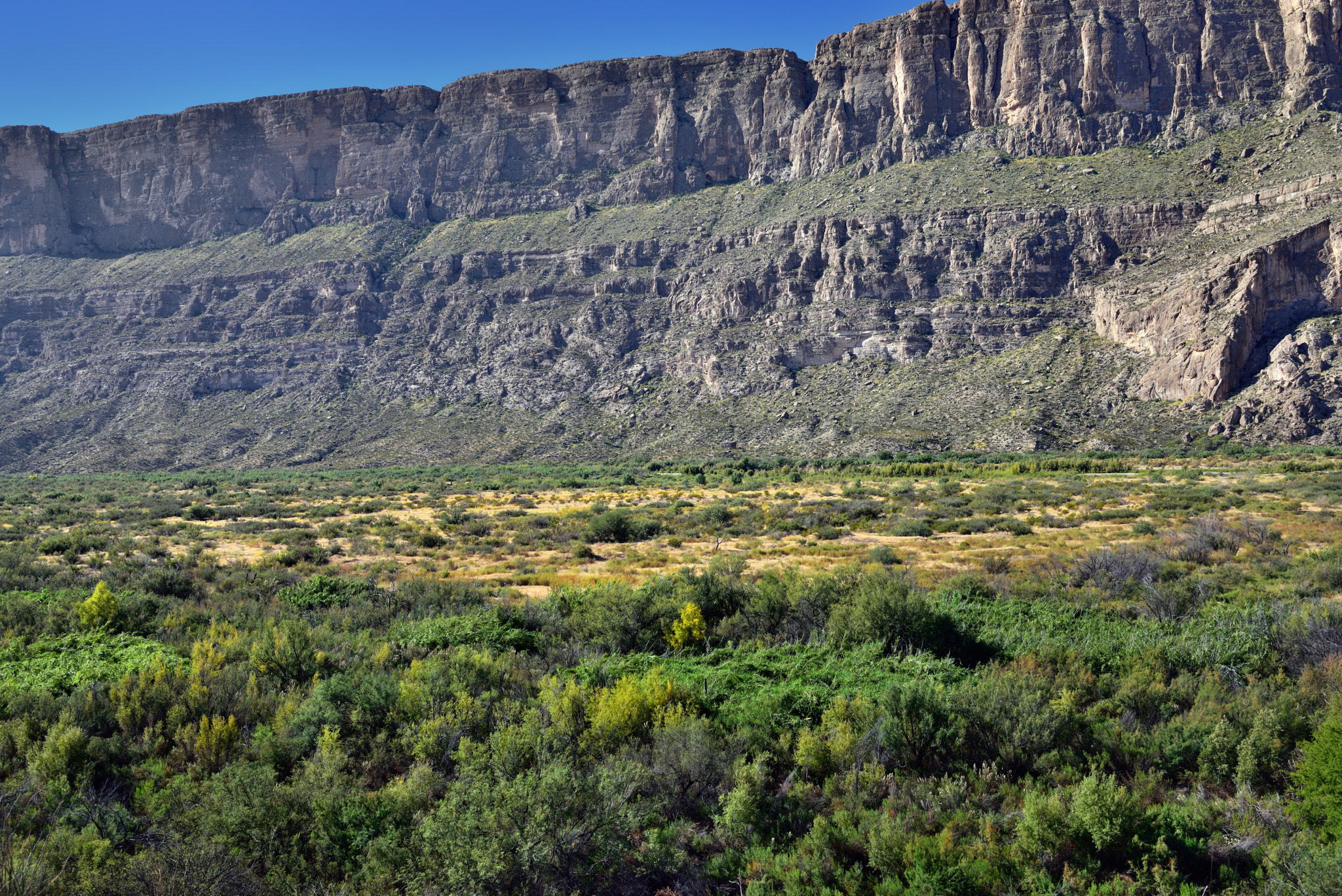 Nikon D800E + Nikon AF-S Nikkor 24-120mm F4G ED VR sample photo. A look across a field of trees to the sierra ponce cliffs photography