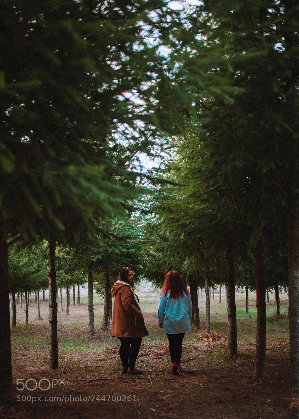 Nikon D610 sample photo. Untitled photography