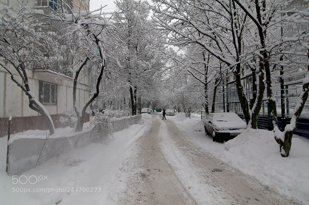Pentax K-7 sample photo. After snowfall. photography