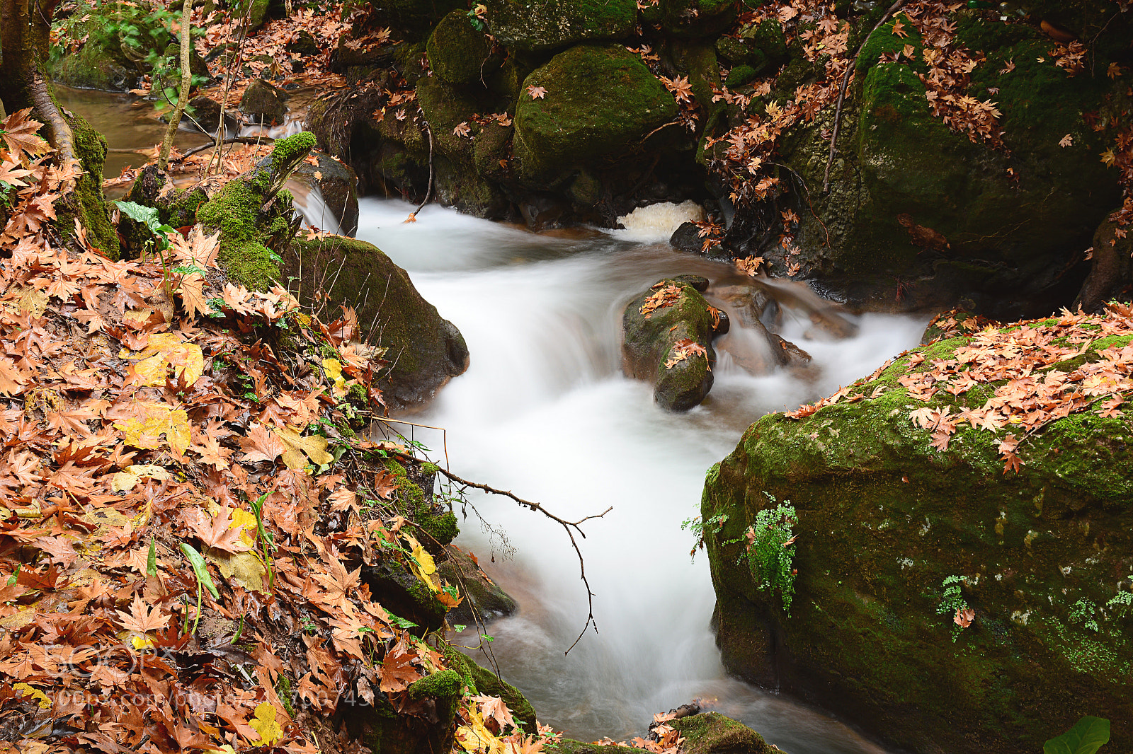 Nikon D7100 sample photo. Vouraikos river photography