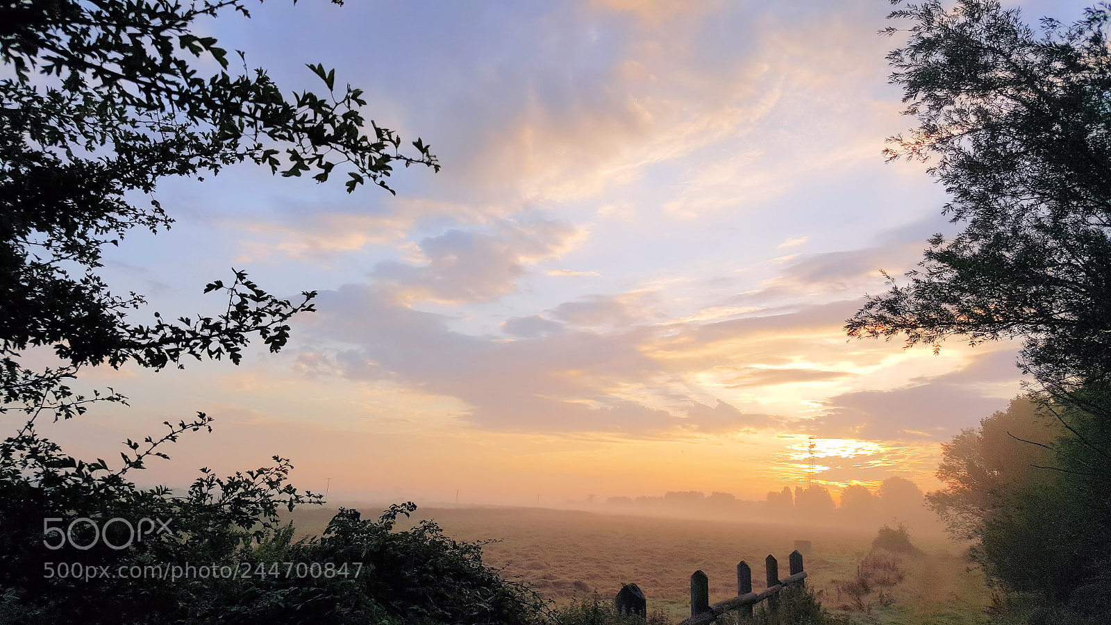 Samsung Galaxy S6 sample photo. Misty sunrise photography