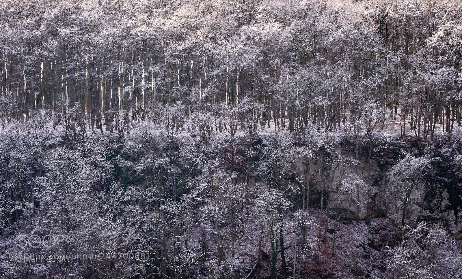 Nikon D7200 sample photo. Winterlicher albtrauf photography