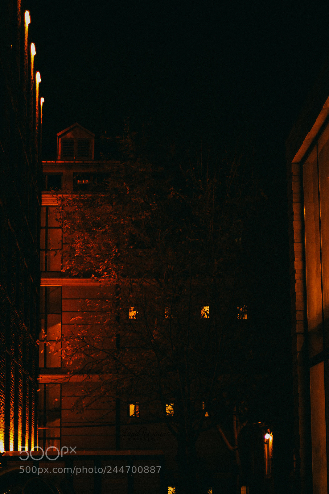 Canon EOS 7D Mark II sample photo. Street photography