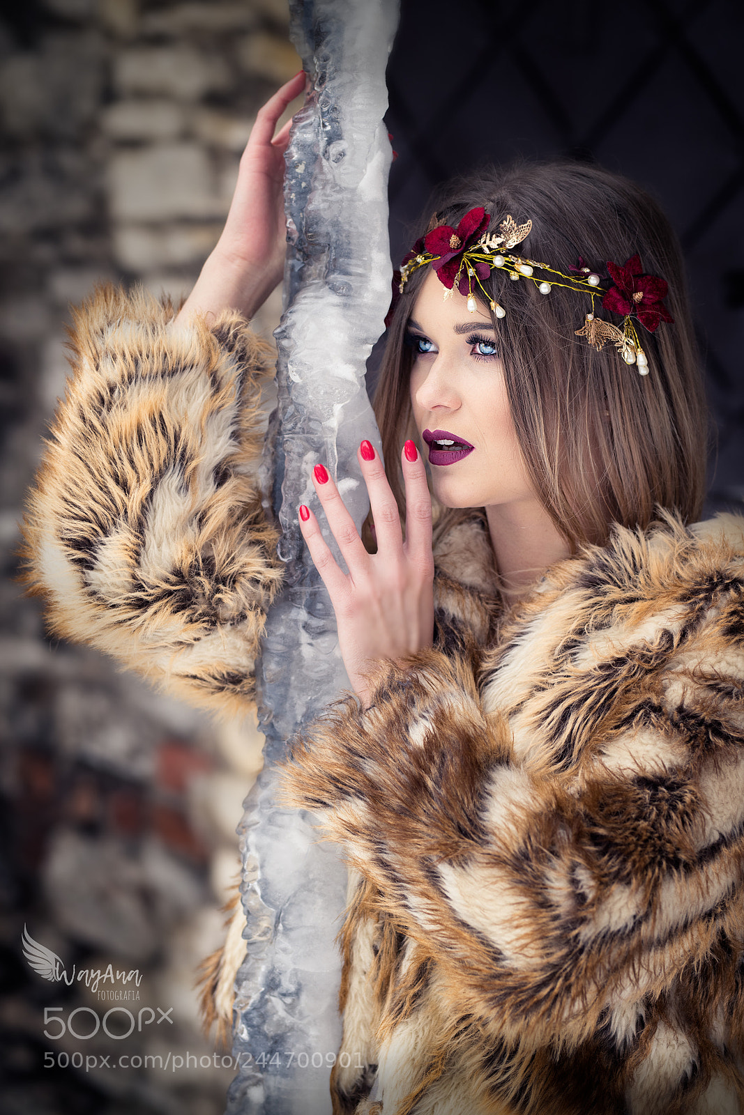Nikon D850 sample photo. Winter photography