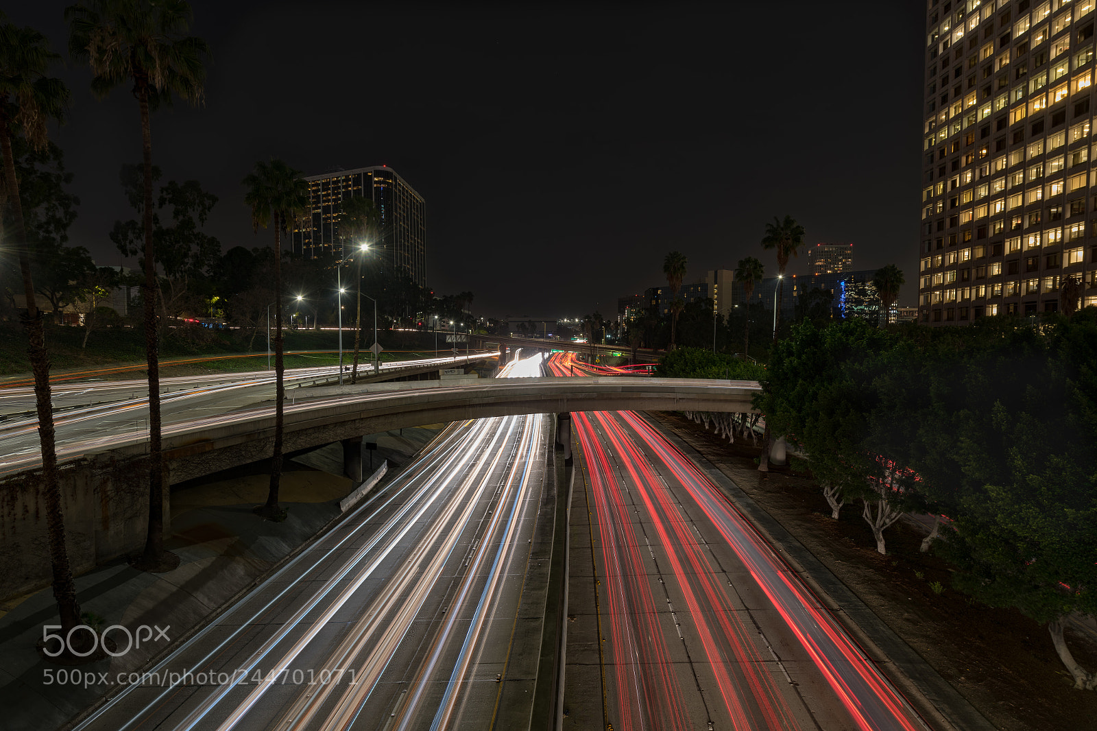 Nikon D850 sample photo. 110 at night photography