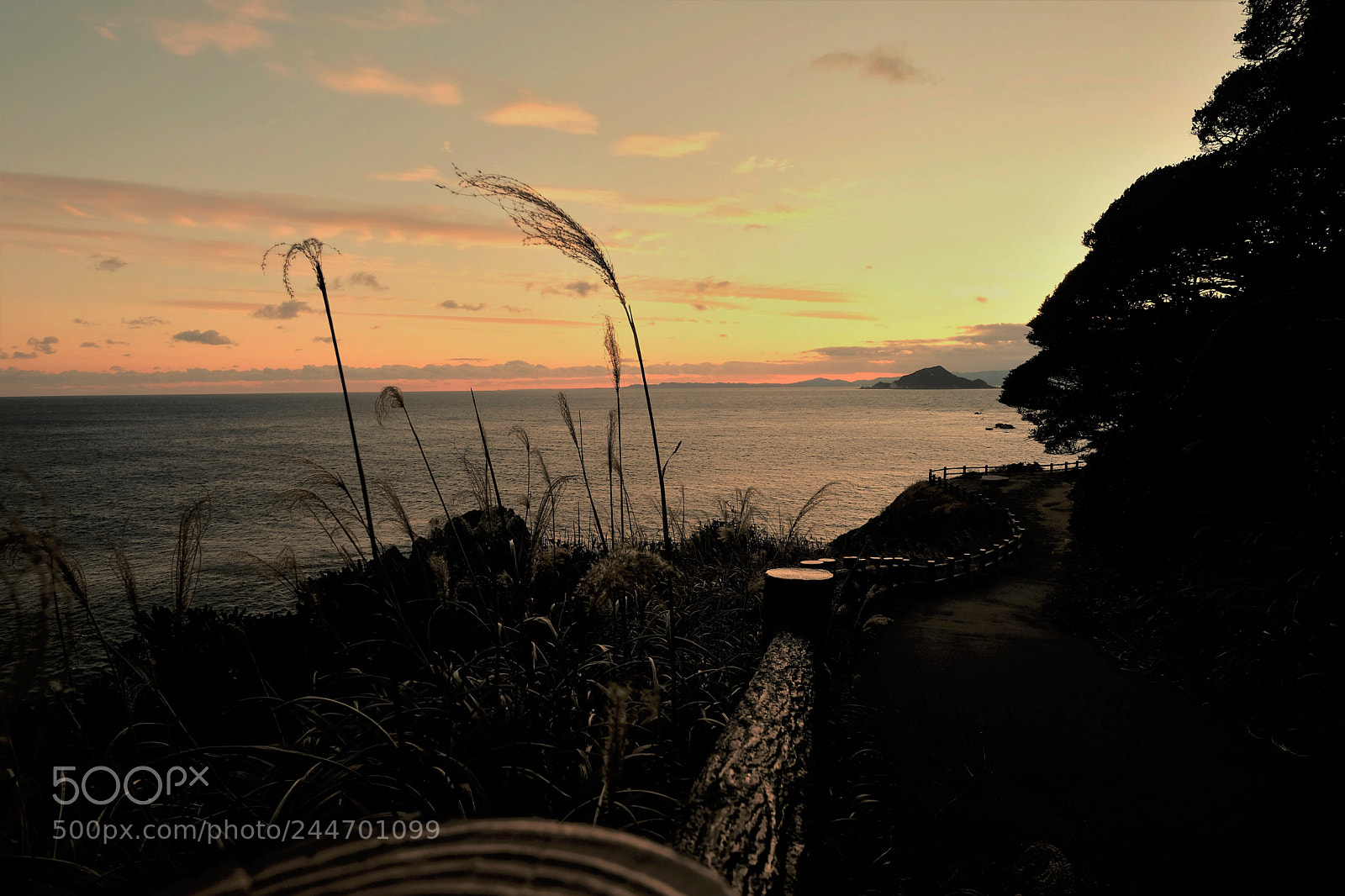 Fujifilm X-T2 sample photo. On the way home photography