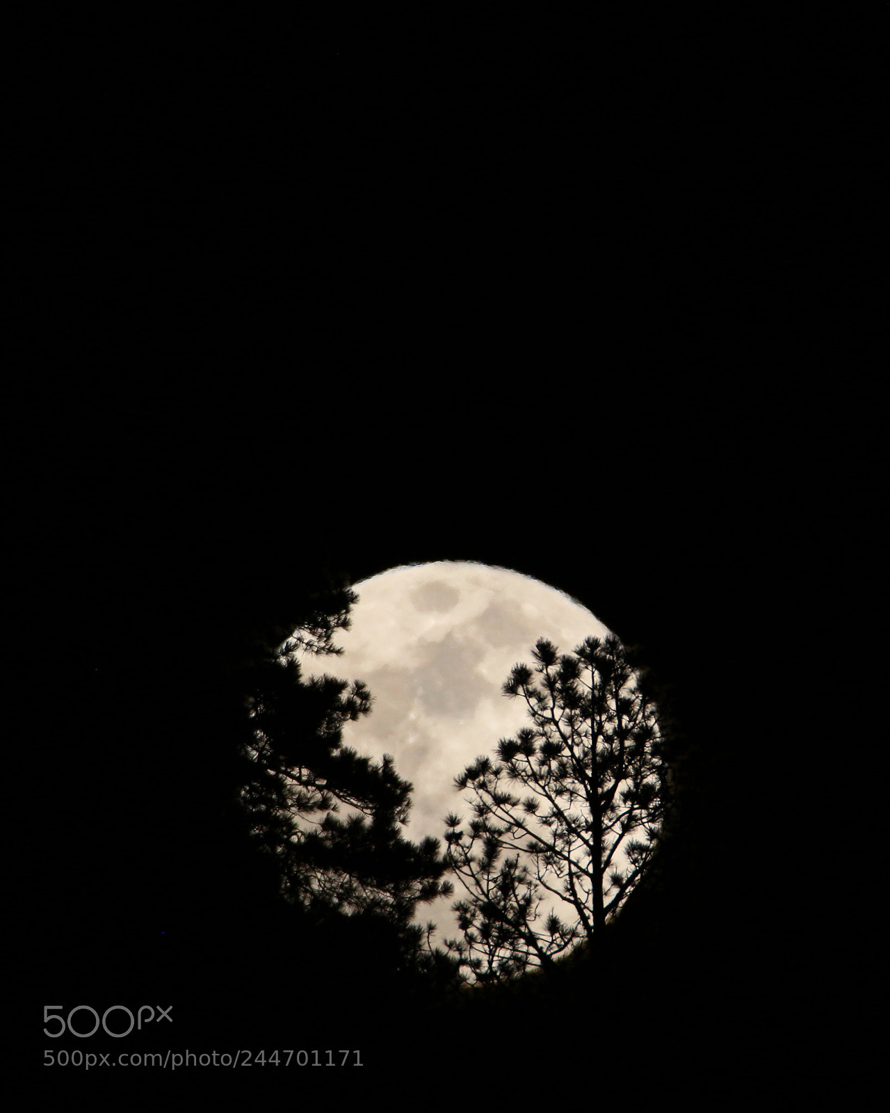 Canon EOS 700D (EOS Rebel T5i / EOS Kiss X7i) sample photo. Super full moonrise over photography