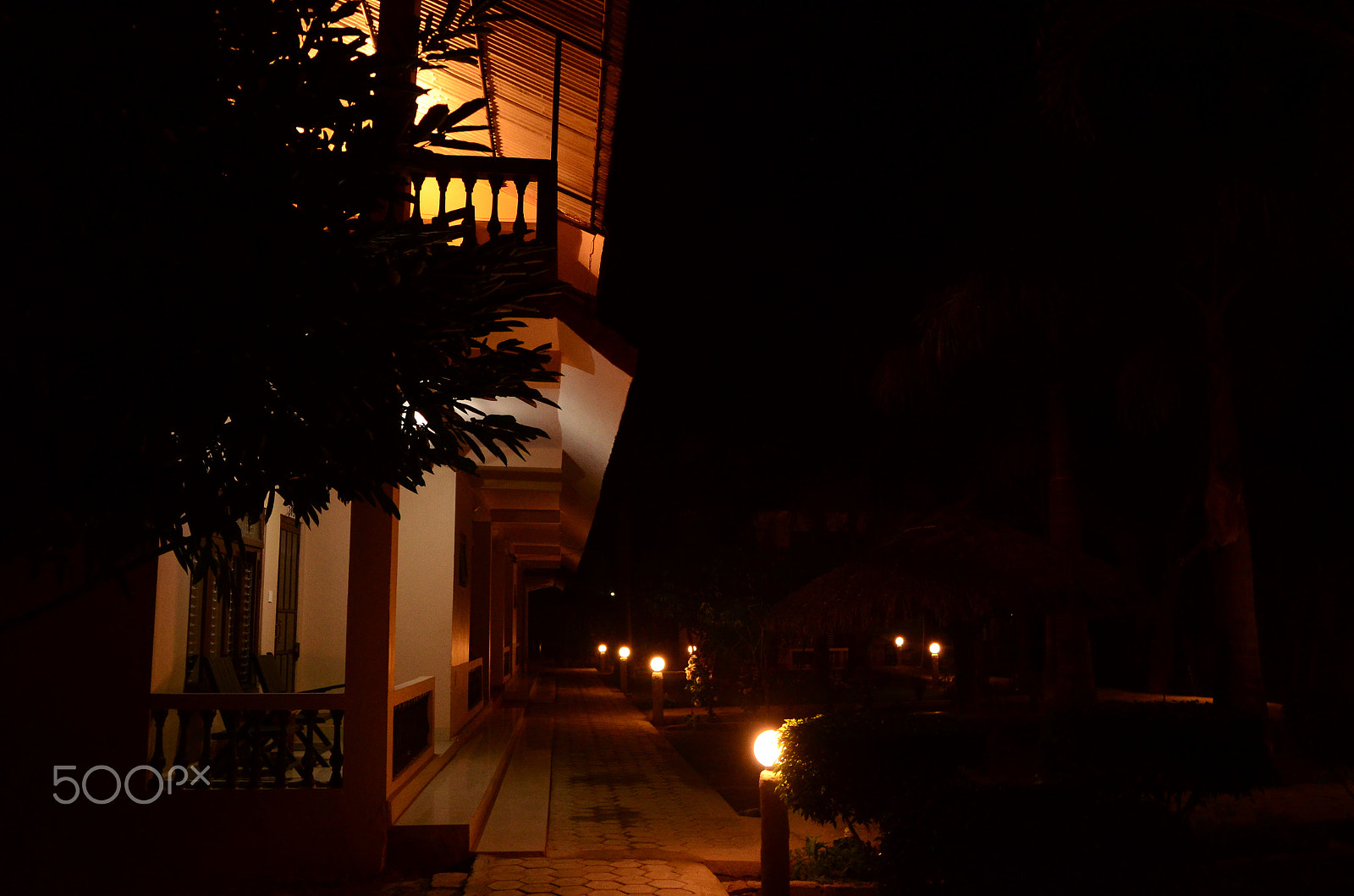 Nikon D5100 sample photo. Ambiance photography