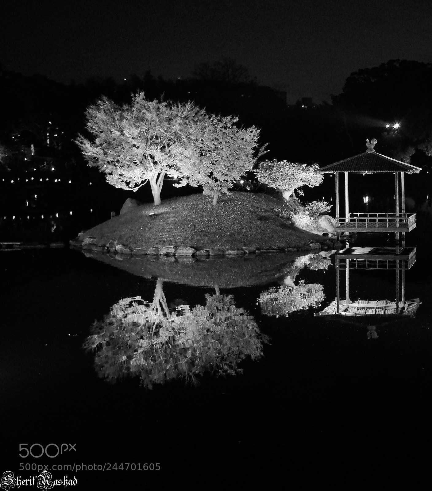 Pentax K-50 sample photo. Reflection photography