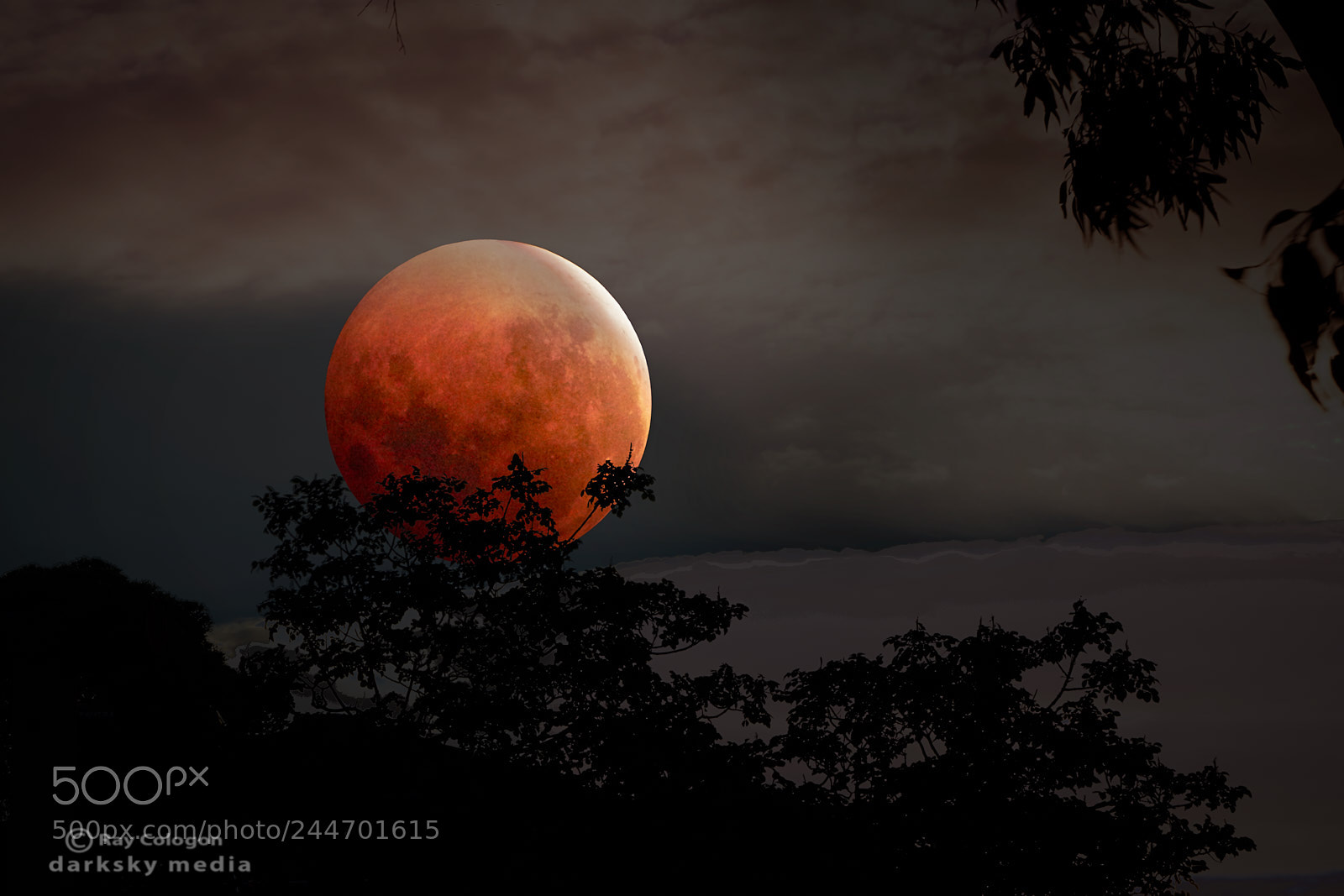 Sony a7R III sample photo. Supermoon eclipsed photography