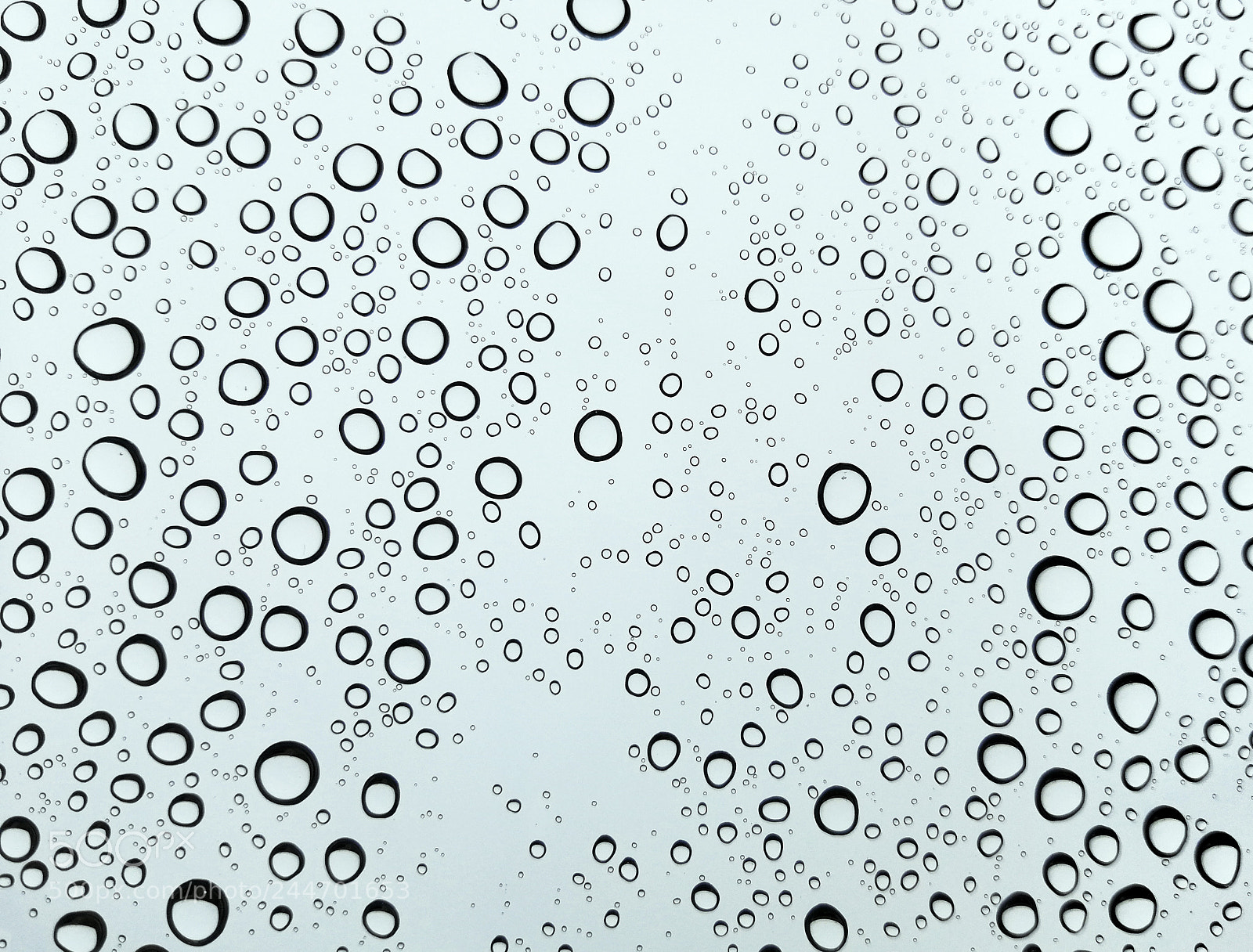HUAWEI P10 sample photo. Raindrops photography