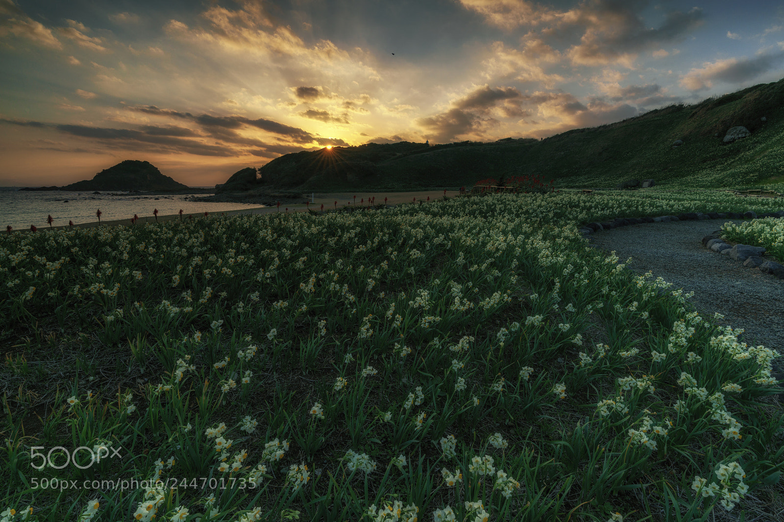 Sony a7R II sample photo. Sunrise of the cape photography