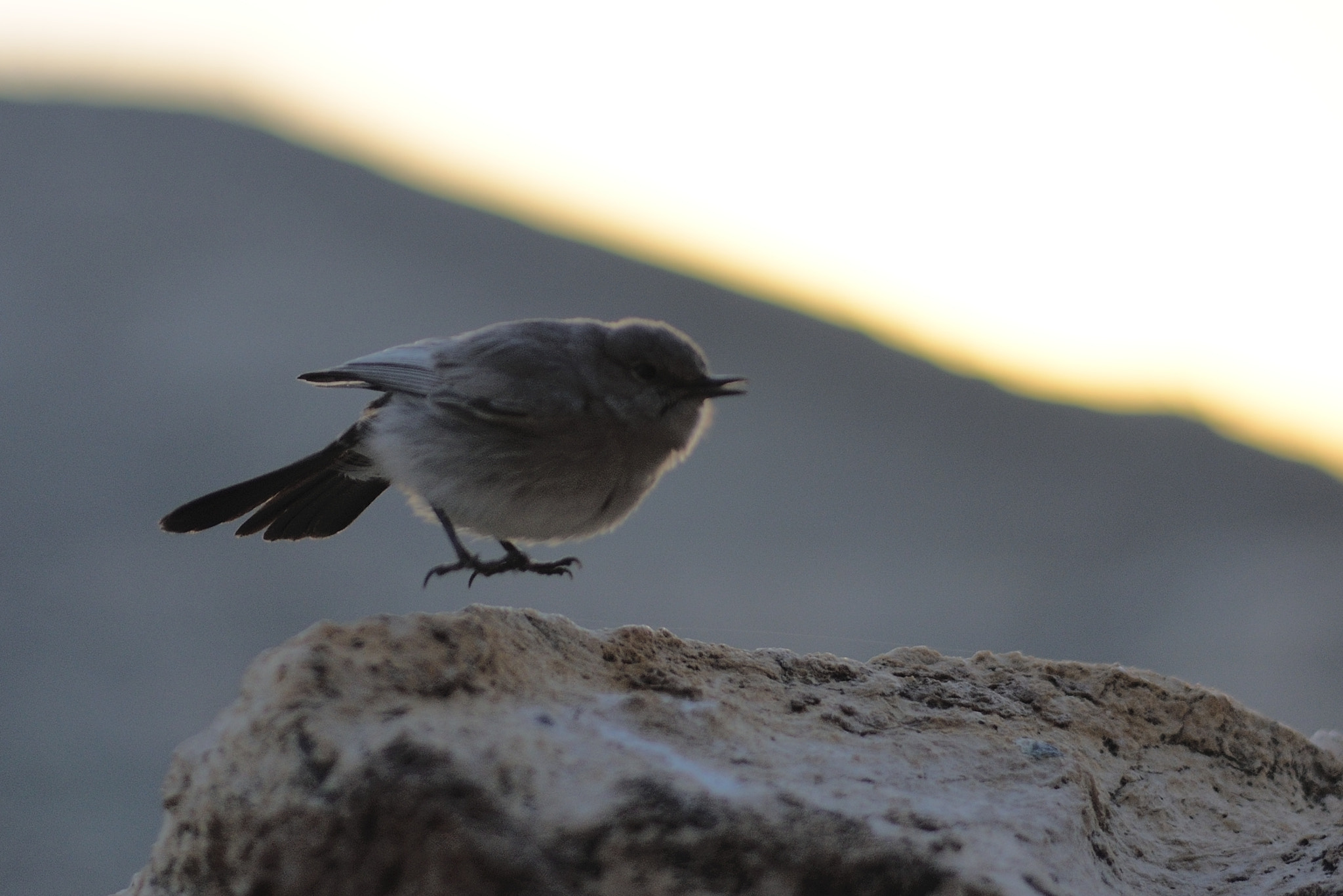 Nikon D610 + Nikon AF-S Nikkor 50mm F1.8G sample photo. Landing photography