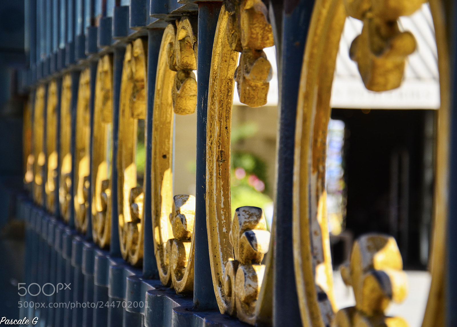 Nikon D5100 sample photo. A paris photography