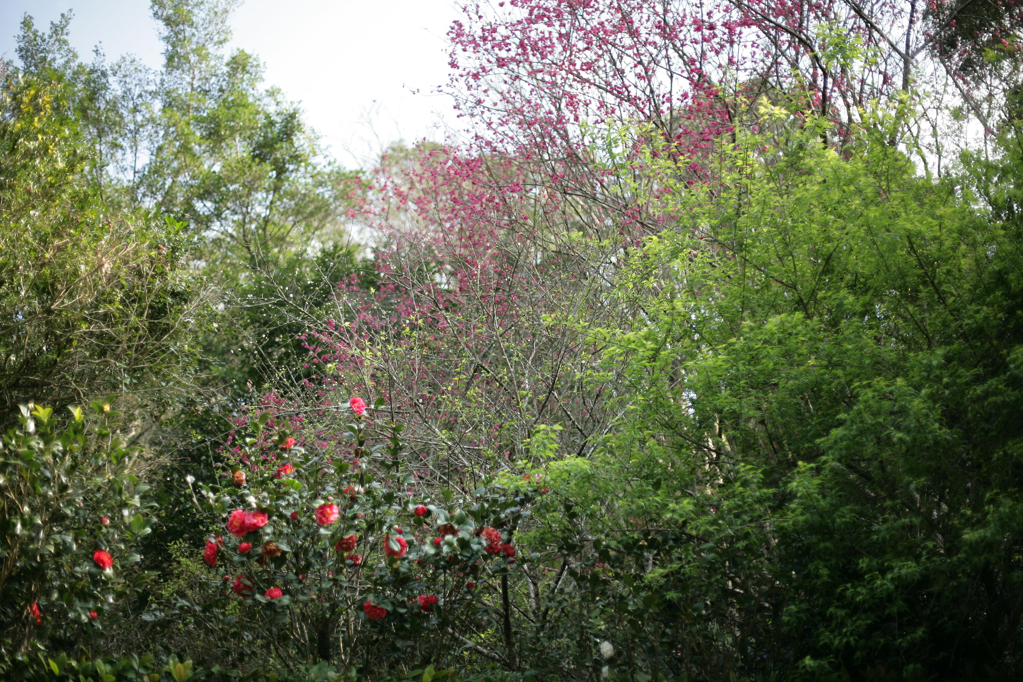 Canon EOS 5D + Canon EF 50mm F1.4 USM sample photo. Img photography