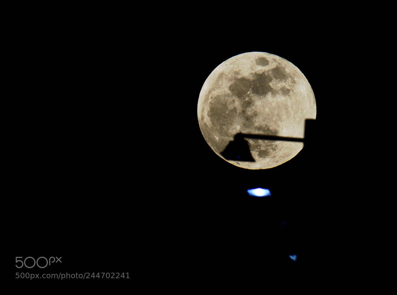 Nikon D810 sample photo. Untitled photography