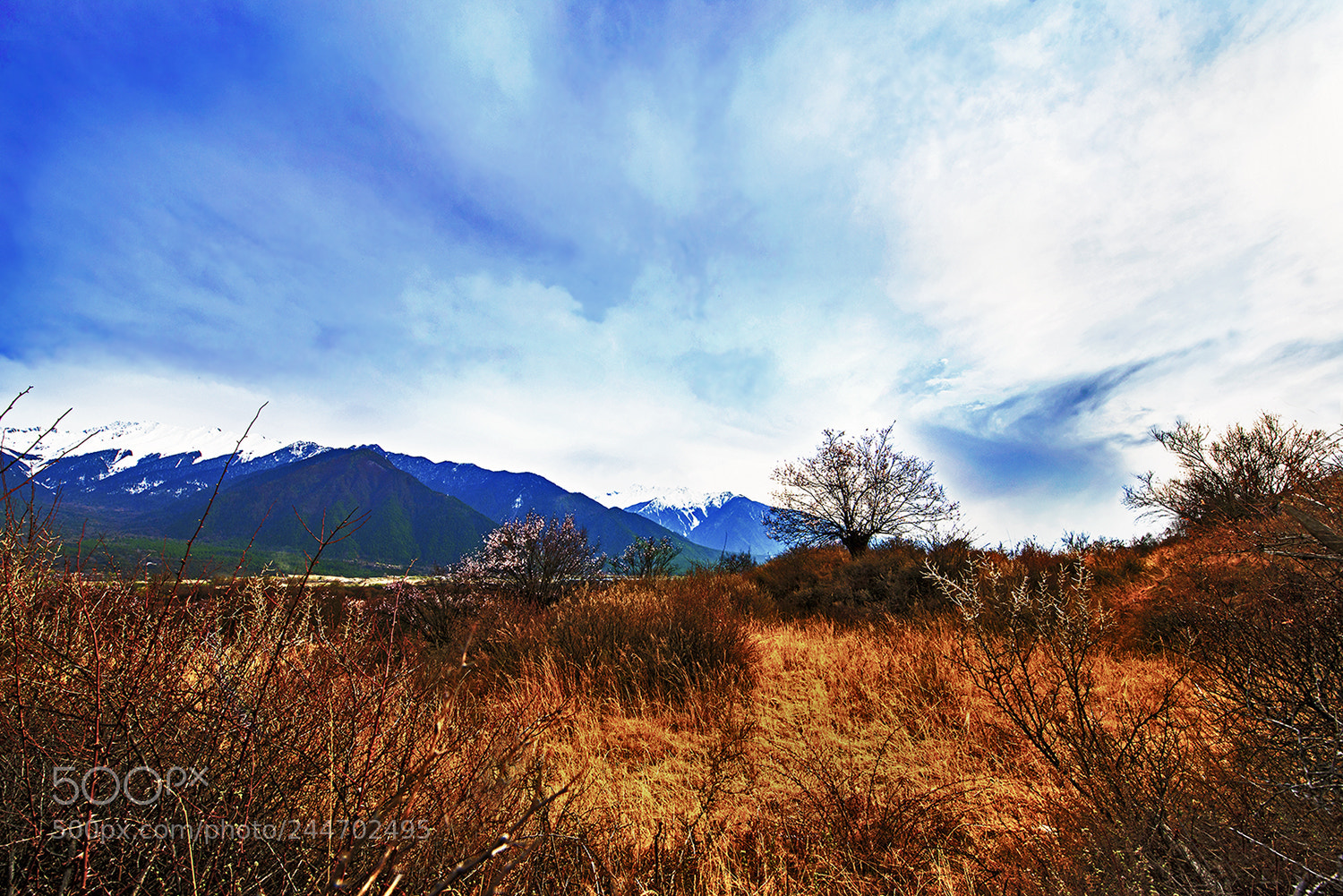 Nikon D800E sample photo. 林芝风光 photography