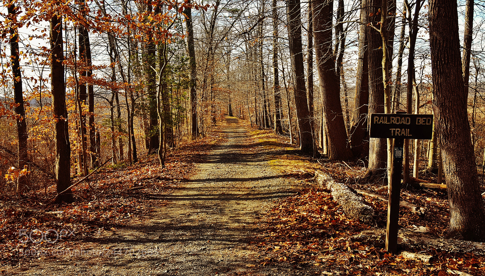 Samsung Galaxy S6 sample photo. Railroad bed trail 2018 photography