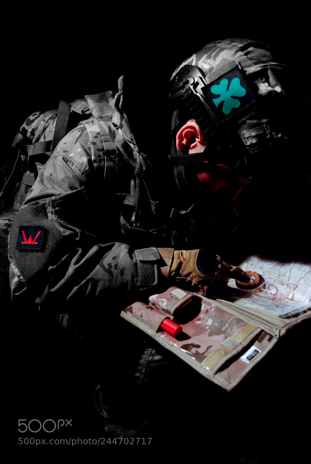 Nikon D80 sample photo. Royal irish regiment ranger () photography
