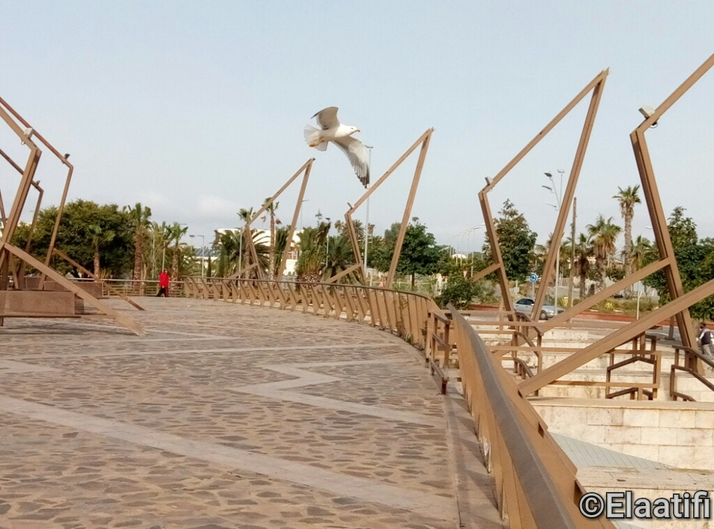 Meizu M3s sample photo. Gaviota en melilla photography