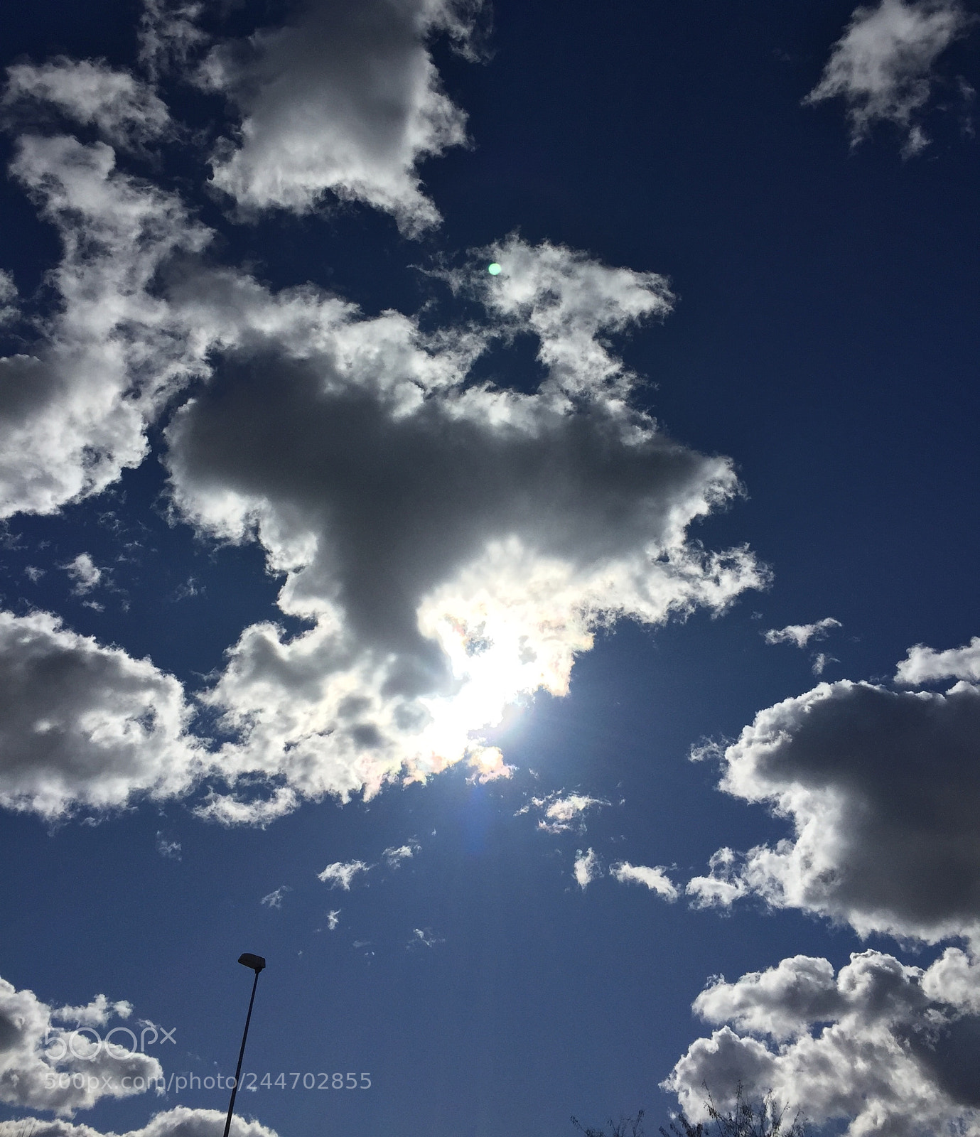 Apple iPhone 6 sample photo. Untitled photography
