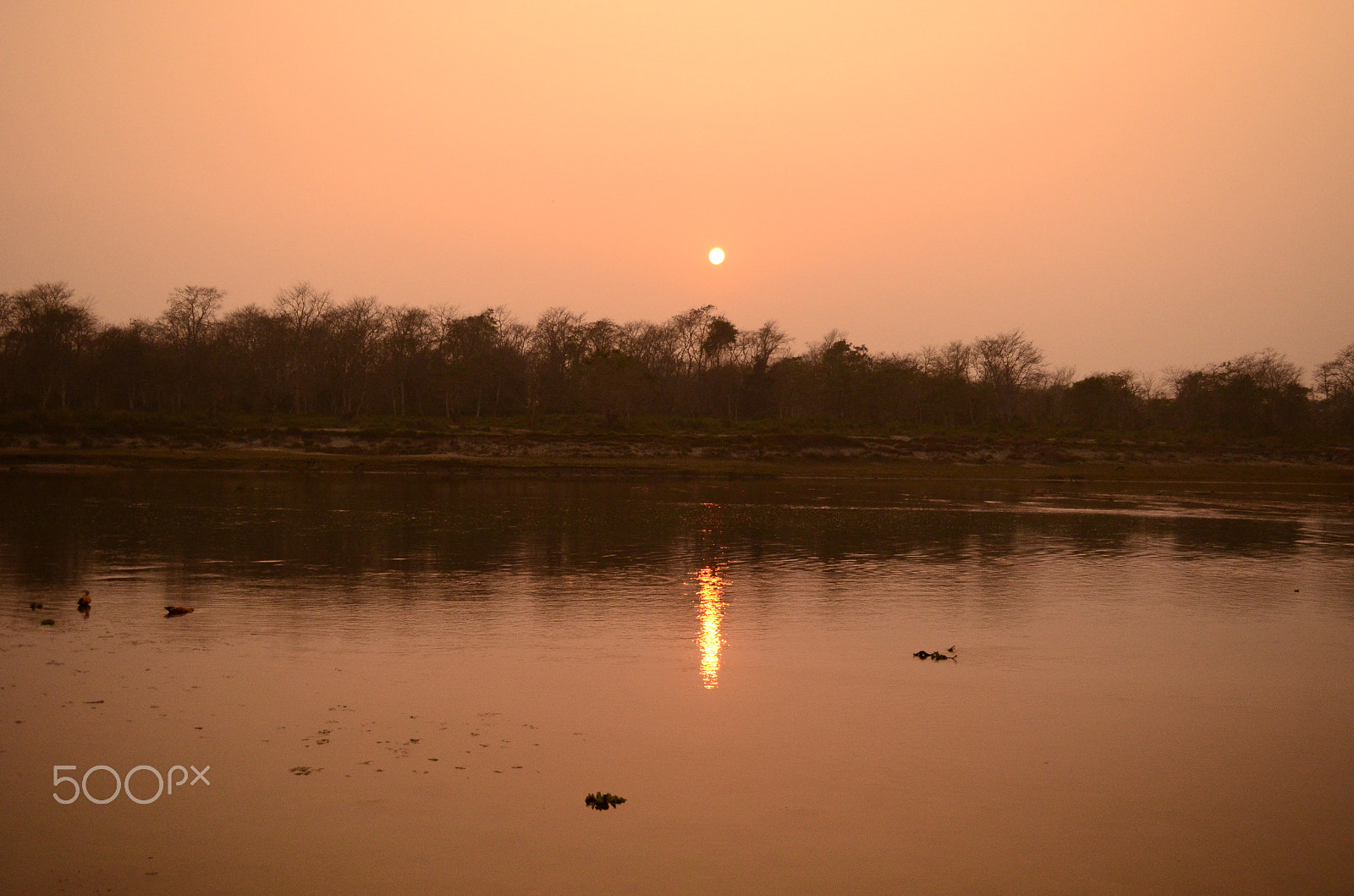 Nikon D5100 sample photo. View photography