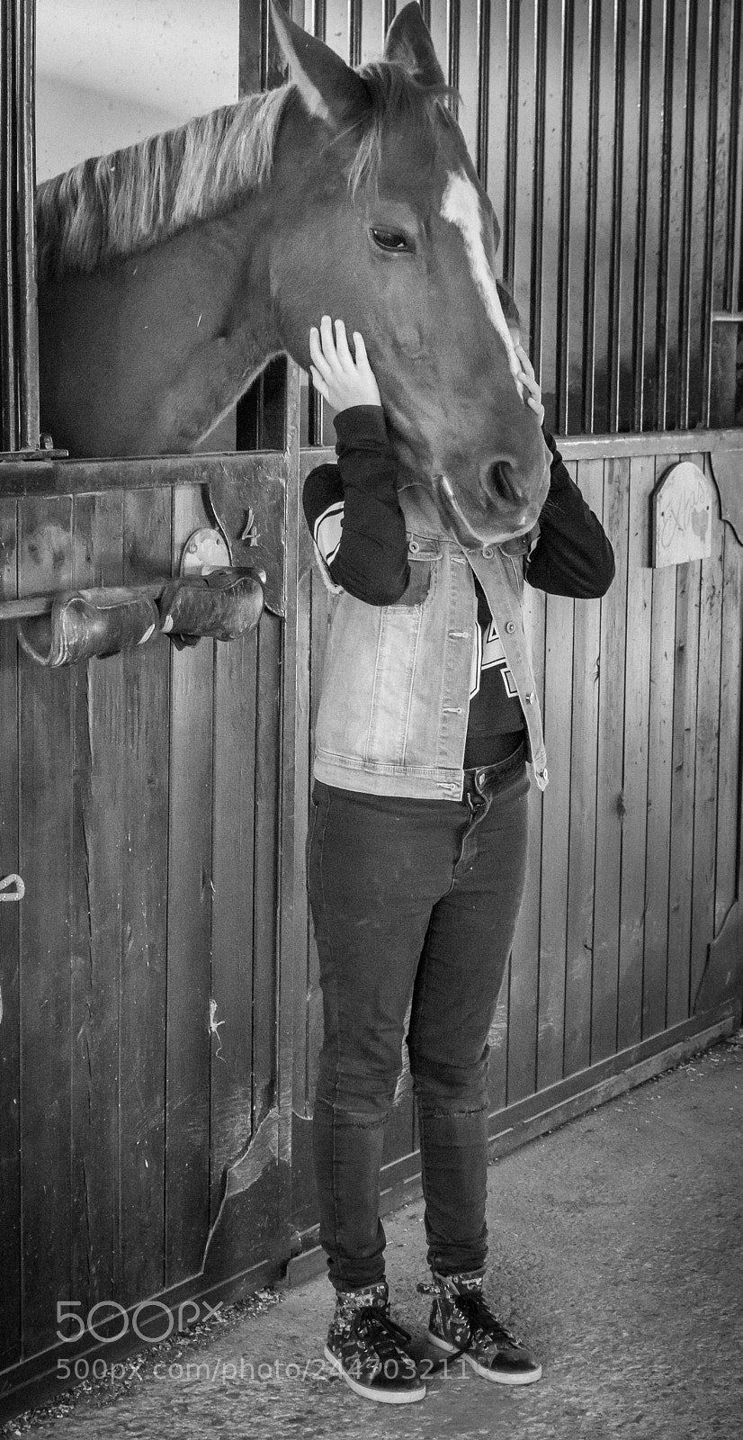 Nikon D7200 sample photo. Horsehead photography
