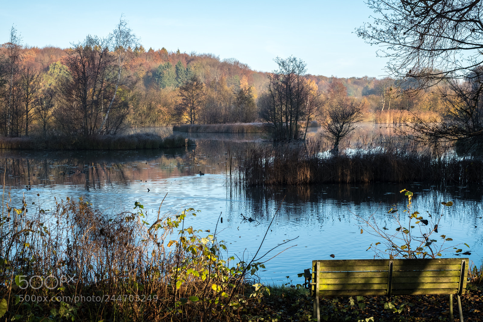 Fujifilm X-T2 sample photo. Nature in denmark photography