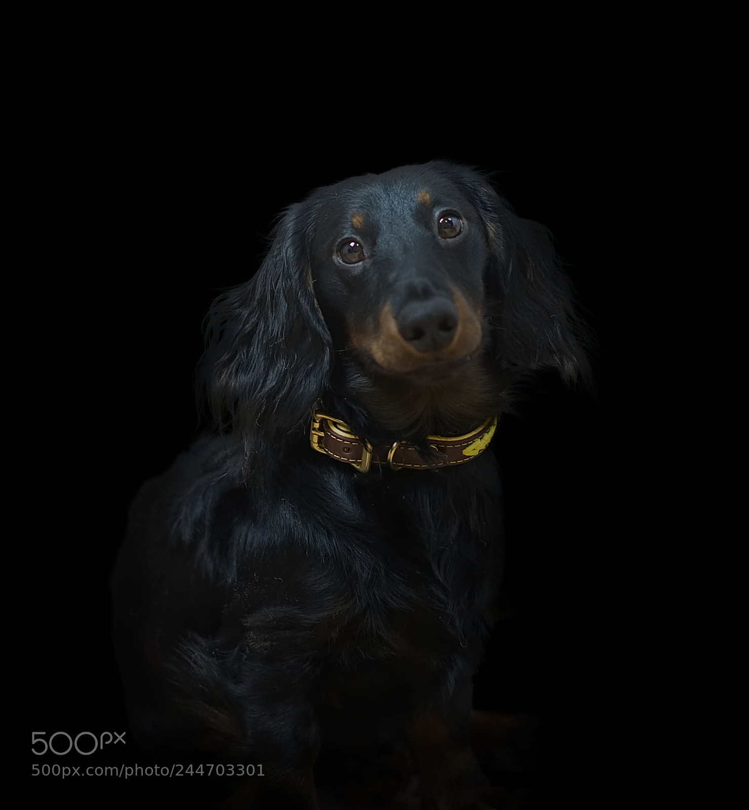 Sony a7 II sample photo. Topi,  funny boy photography