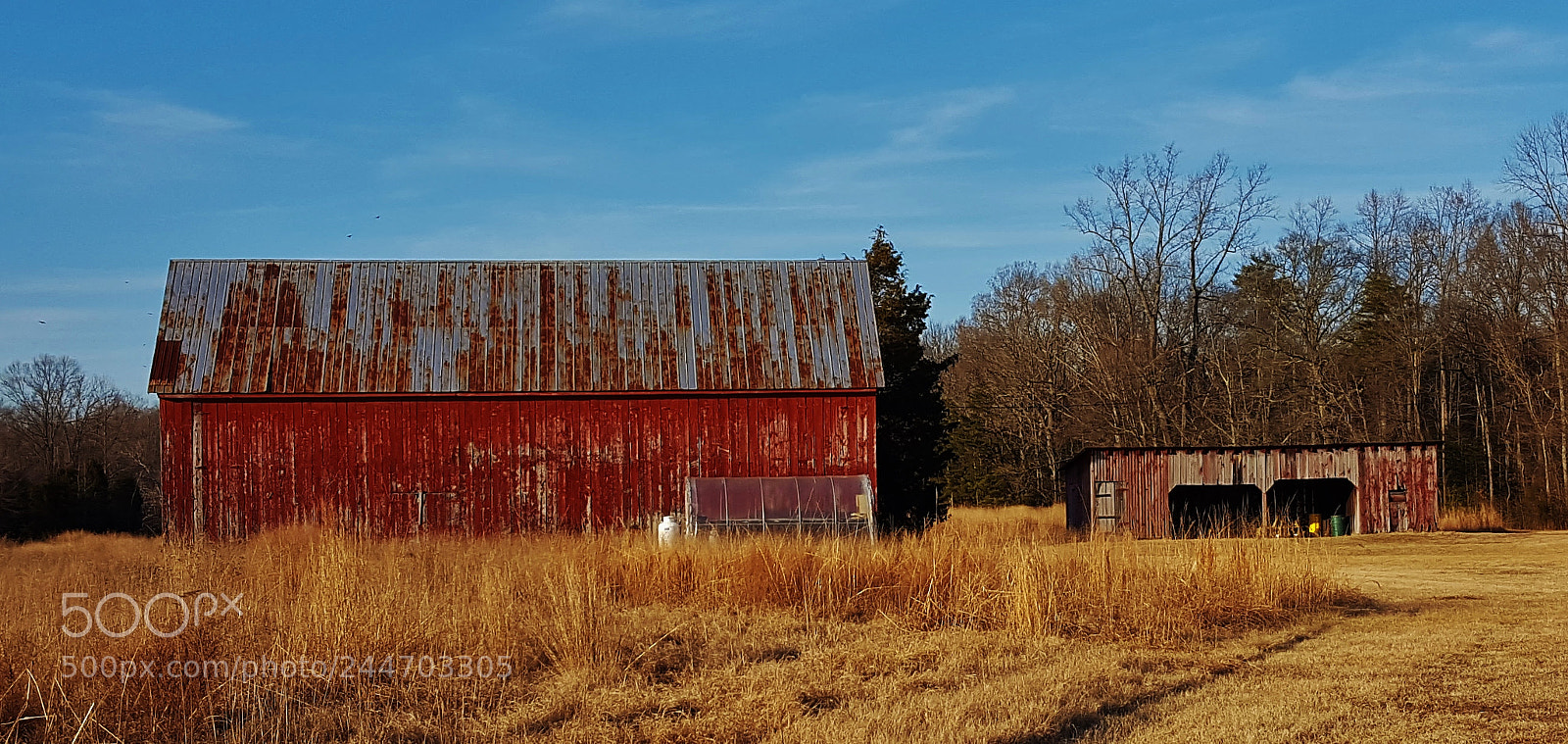 Samsung Galaxy S6 sample photo. Jug bay farm scene 2018 photography