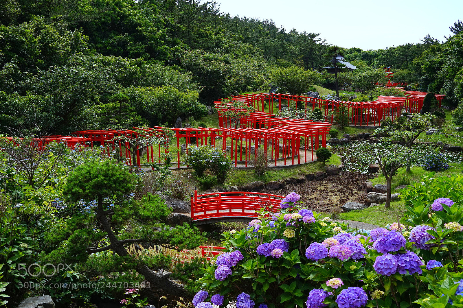 Sony Alpha a5000 (ILCE 5000) sample photo. Takayama inari shrine photography