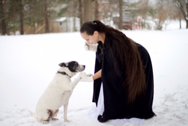 Nikon D600 sample photo. Snow queen and companion photography