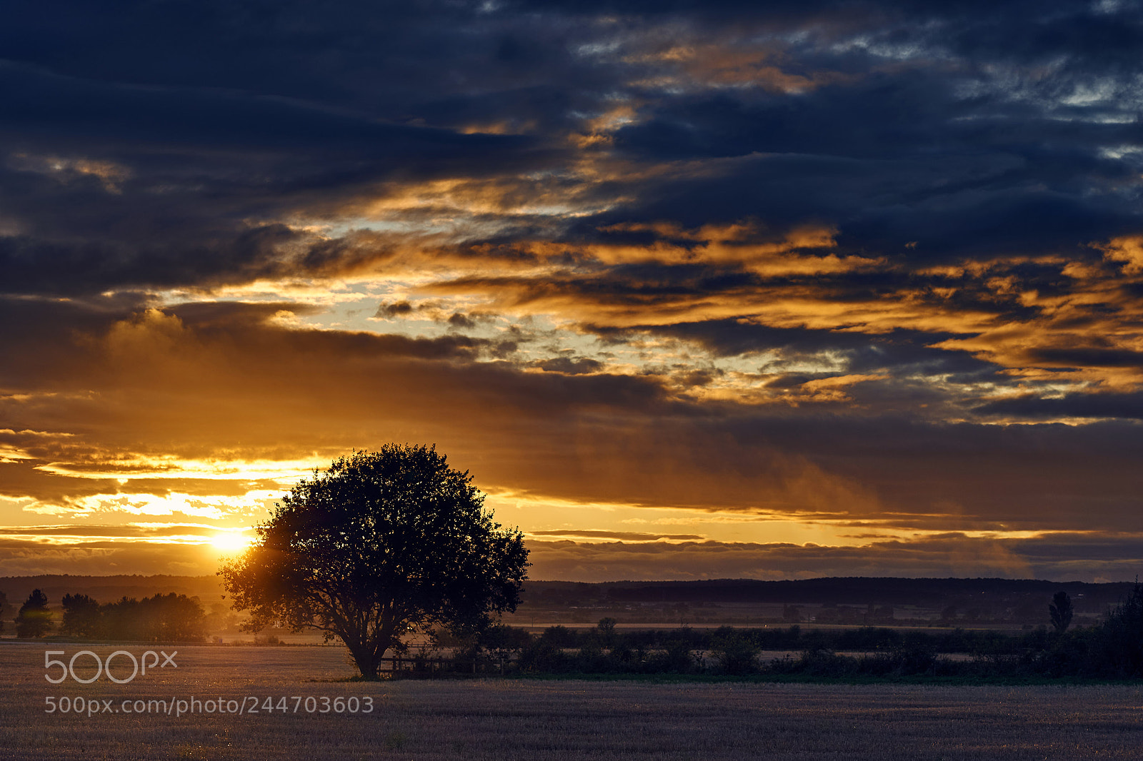 Leica SL (Typ 601) sample photo. Lincolnshire sunset photography