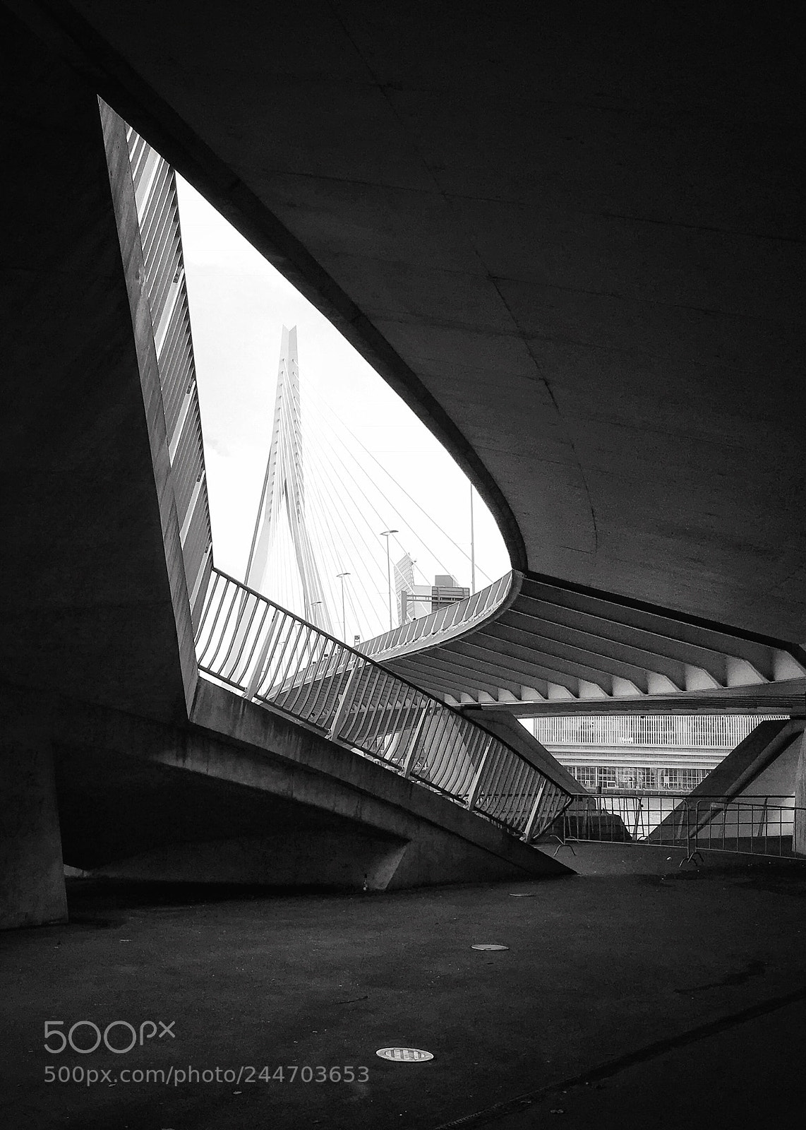 Apple iPhone 6s sample photo. Under erasmus bridge, rotterdam photography