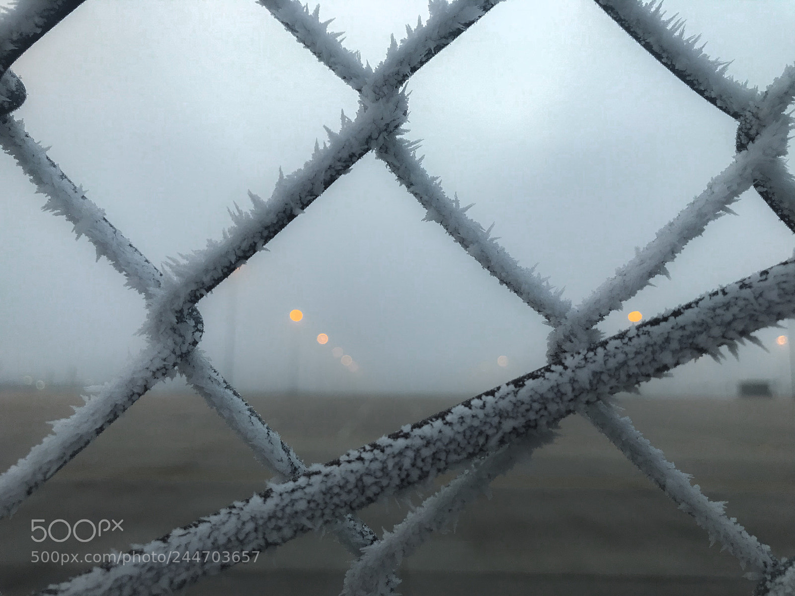 Apple iPhone 7 Plus sample photo. Cold and fog photography