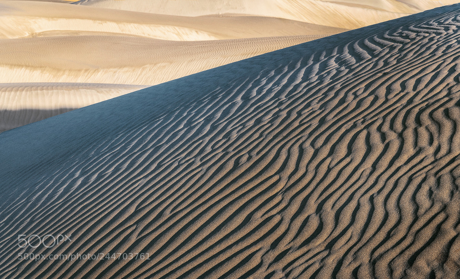 Nikon D850 sample photo. Dune forms, death valley photography