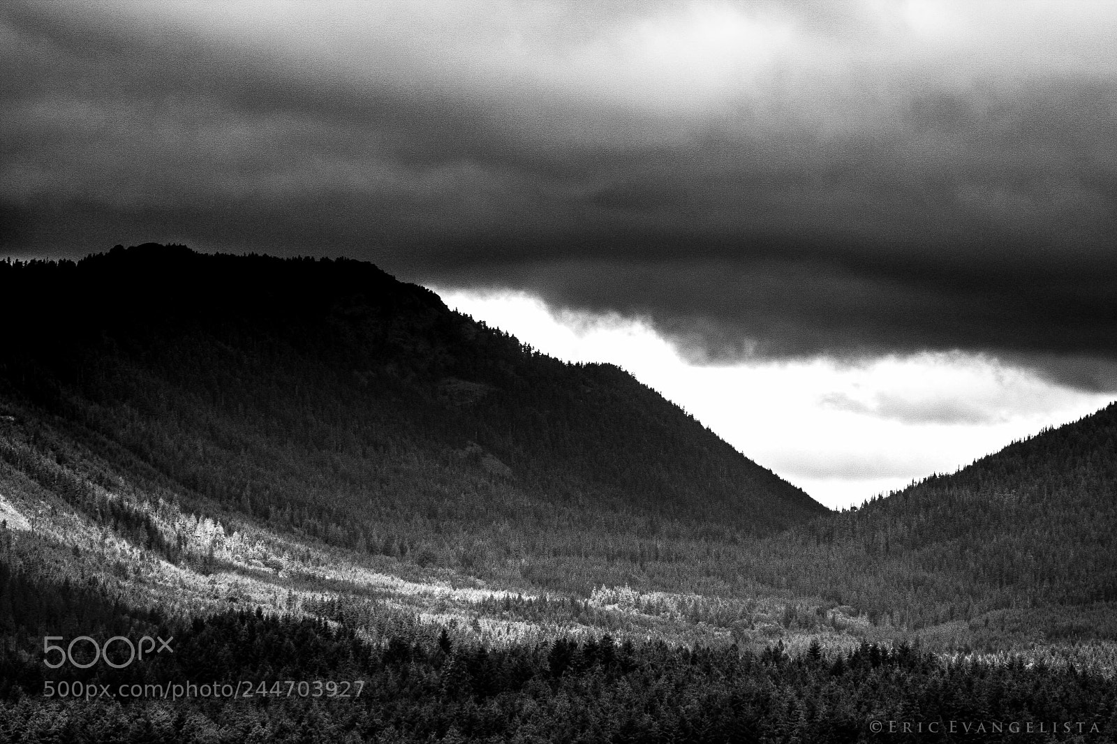 Canon EOS 40D sample photo. Cle elum washington photography