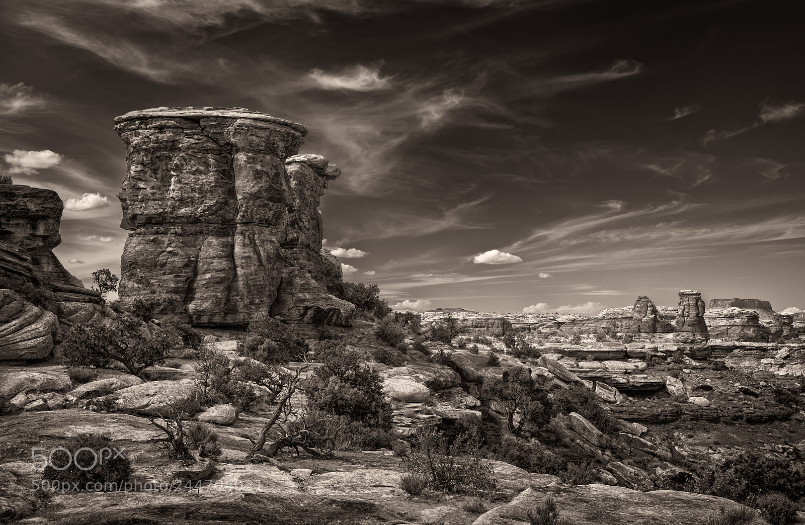 Nikon D7100 sample photo. Big spring canyon overlook photography