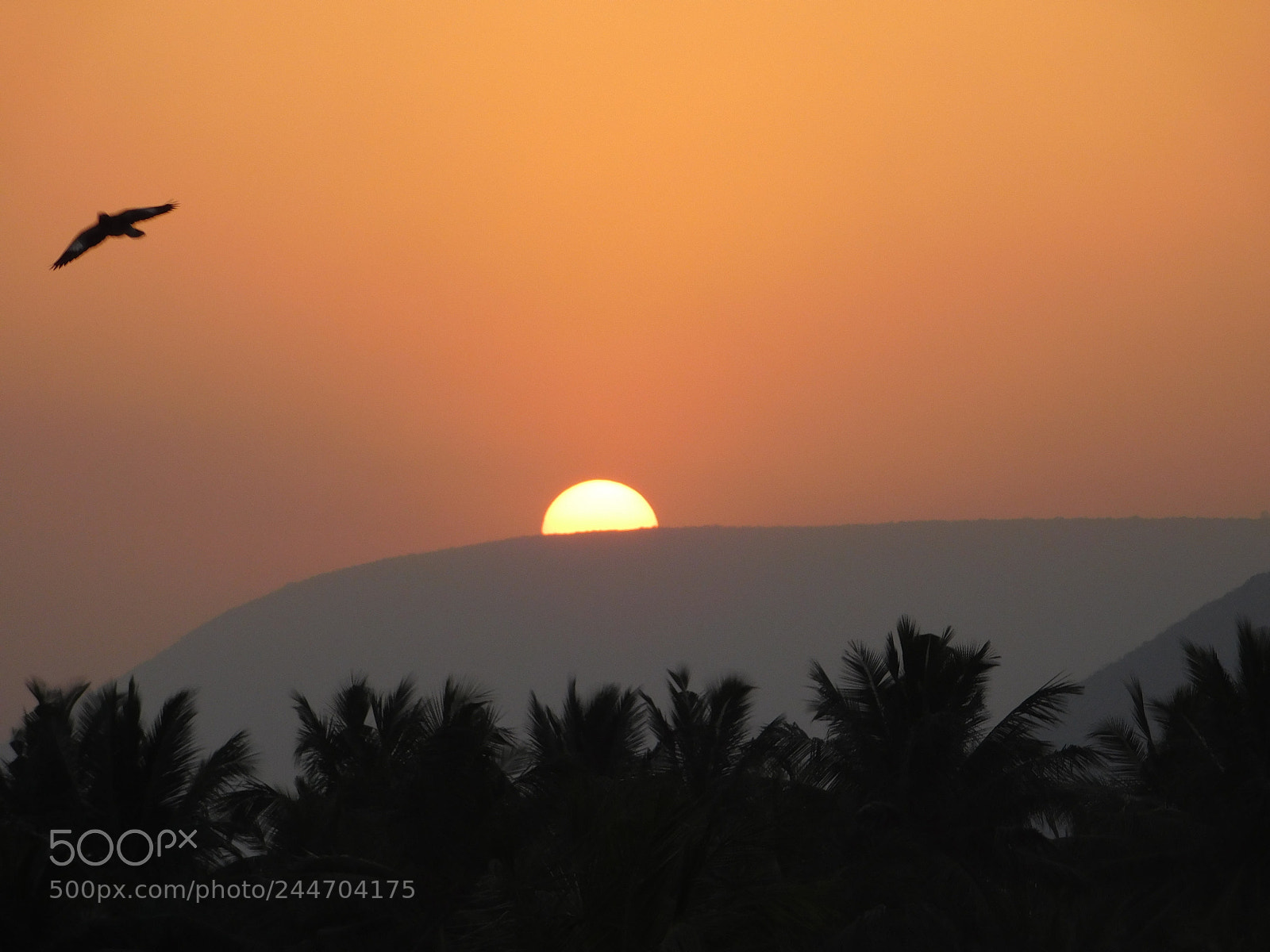 Nikon Coolpix L840 sample photo. Sun photography