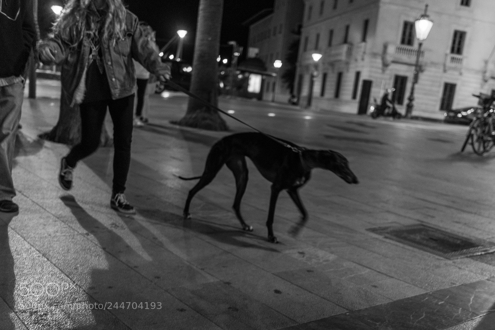 Sony a7R sample photo. Palma winter street photography