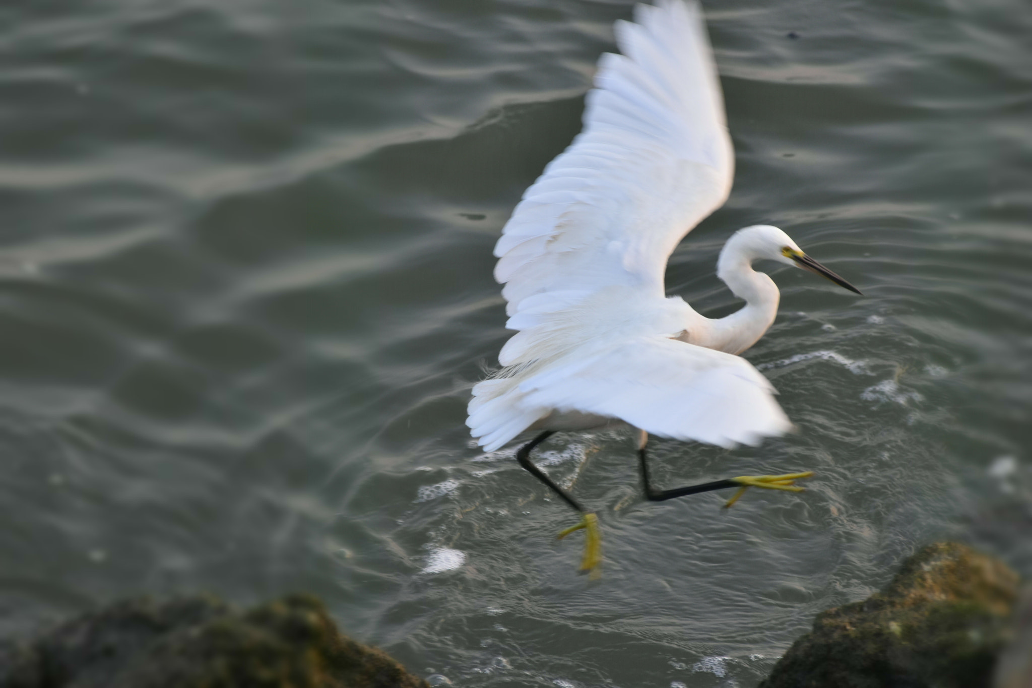 Sigma 70-300mm F4-5.6 APO DG Macro sample photo