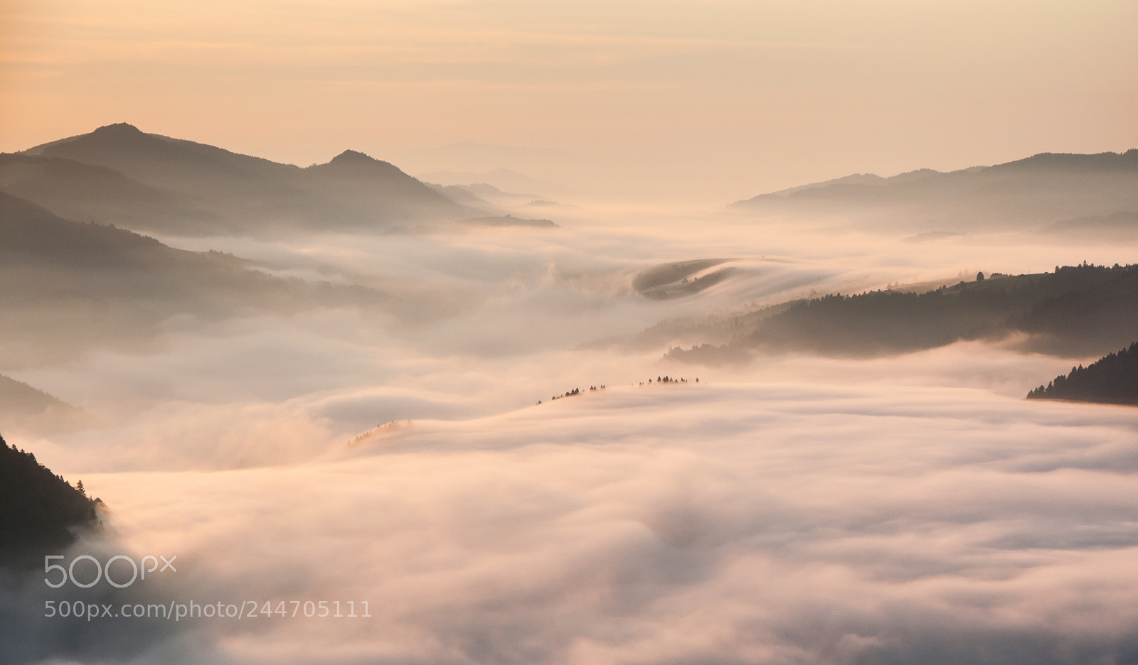Nikon D90 sample photo. River of mist photography